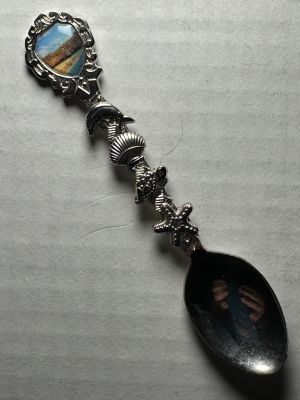 Punta Mita
Pot Metal chromed

