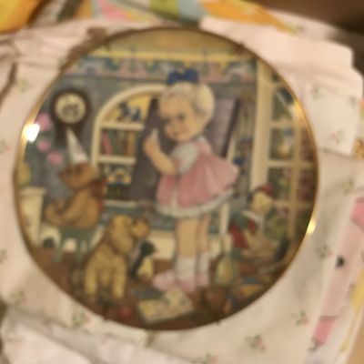IMG_0757
eachers Pet Plate Franklin Mint 1982 Carol Lawson Vintage limited edition Estimated Value 24.00
